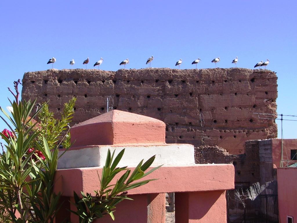 Riad El Farah Kasbah Marrakesch Exterior foto